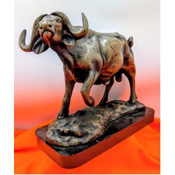 Buffalo