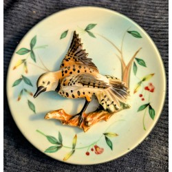 Porcelain